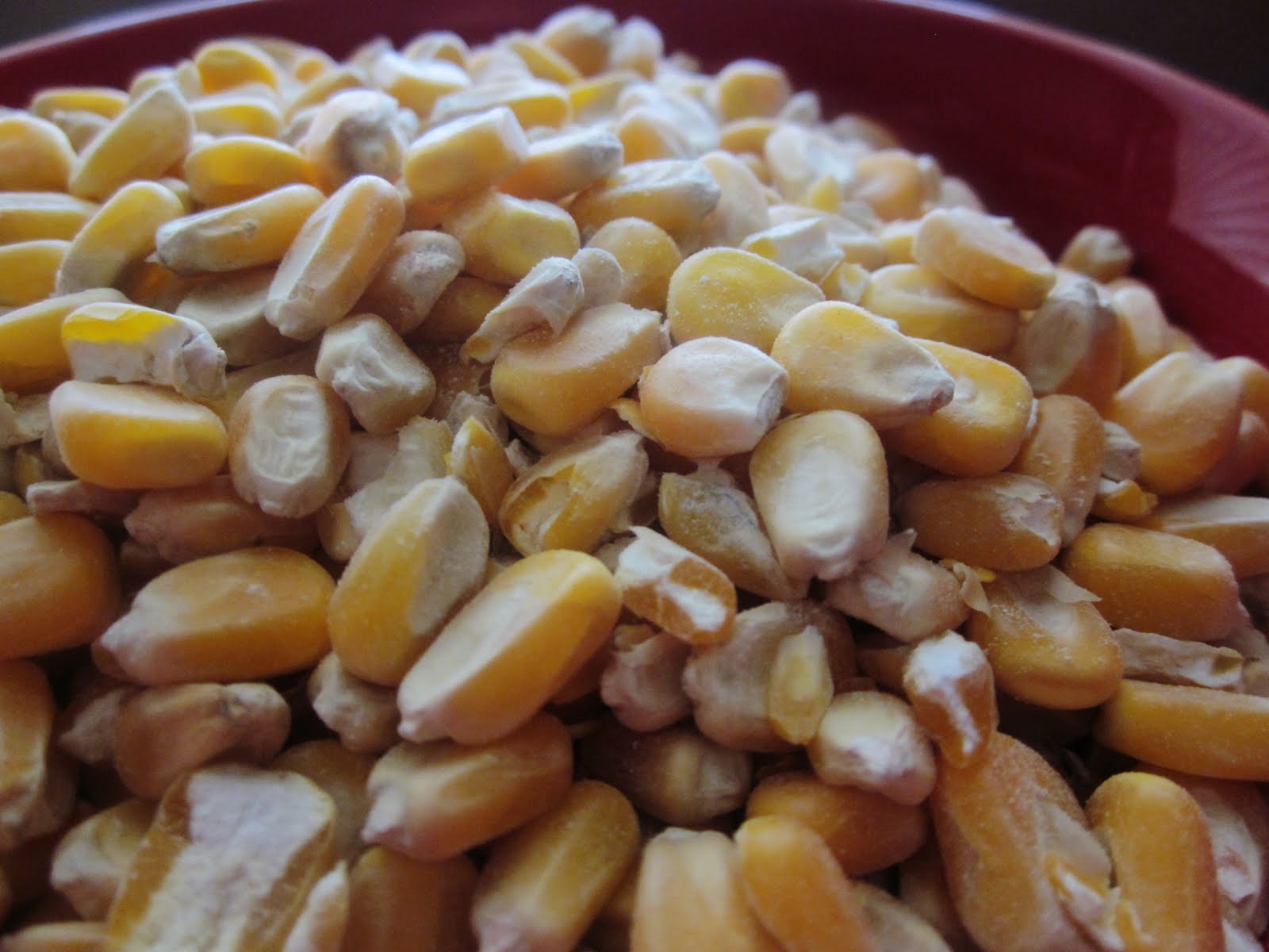 Chef Tess Bakeresse Fresh Corn Masa from Dry Corn and Homemade Corn