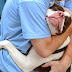 7 Myths About Pit Bulls and Why You Shouldn’t Buy Into Them