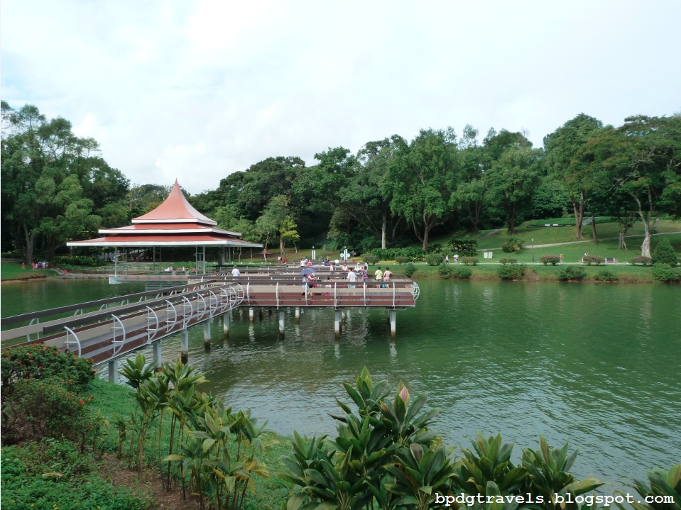  Revisiting MacRitchie Reservoir Part 1 BPDGTravels Building