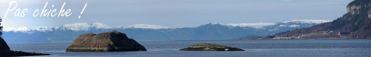 Trondheimsfjorden