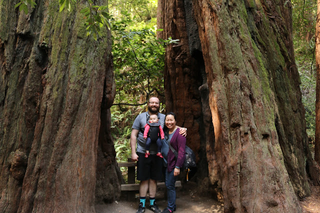 The Redd Party - Muir Woods