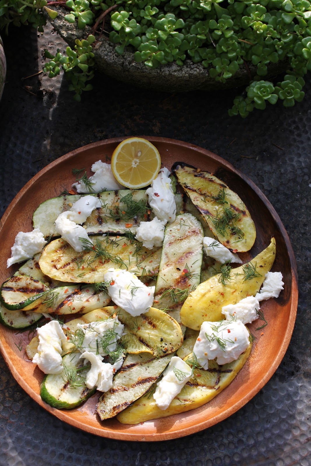 menuinseason grilled zucchini with mozzarella and dill