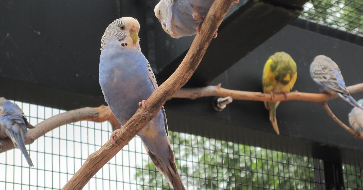 NJMum Turtle back Zoo!