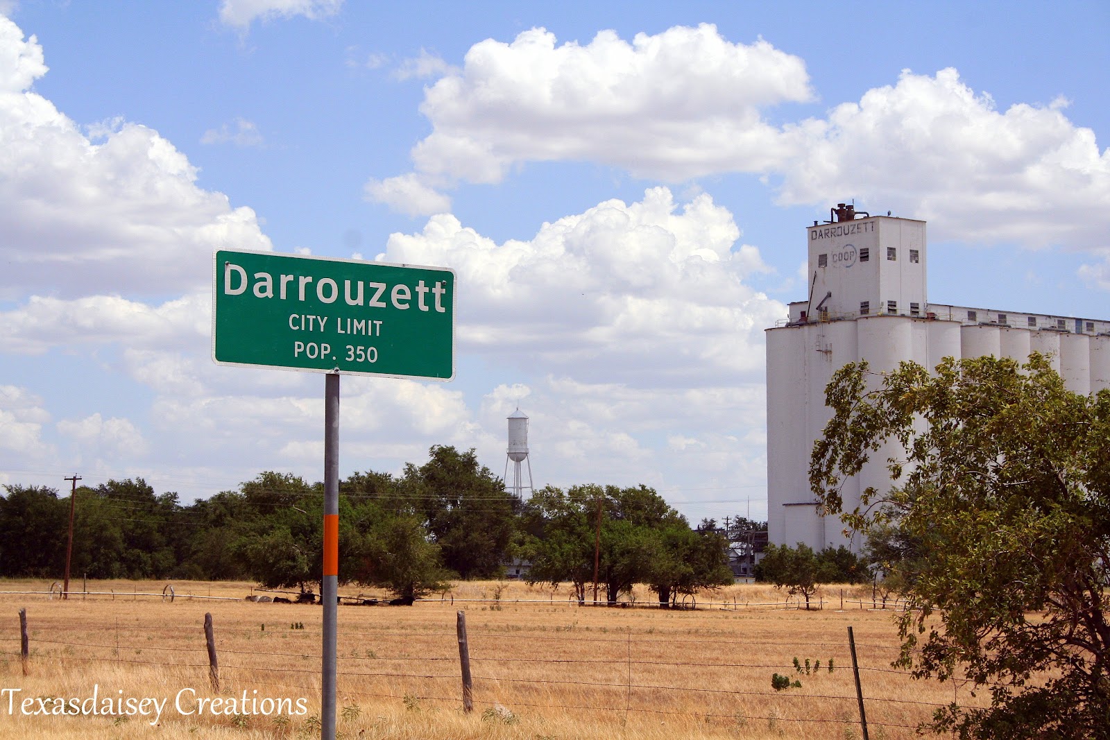 Texasdaisey Creations Home on the Range