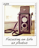 Focus on Life 2013