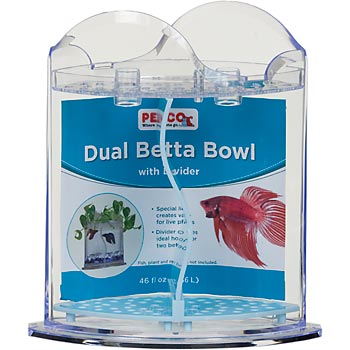 betta fish awareness day betta fish care the misleading label scam petco betta fish care sheet