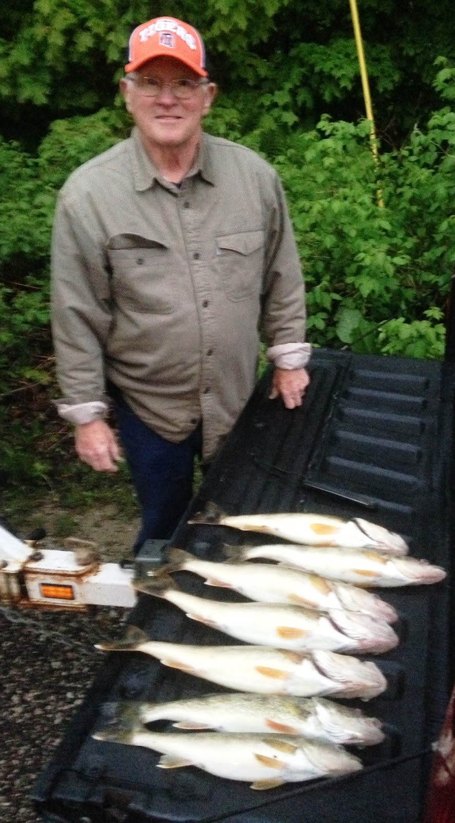 Houghton Lake Walleye Report Manistique Lakes Fishing Trip