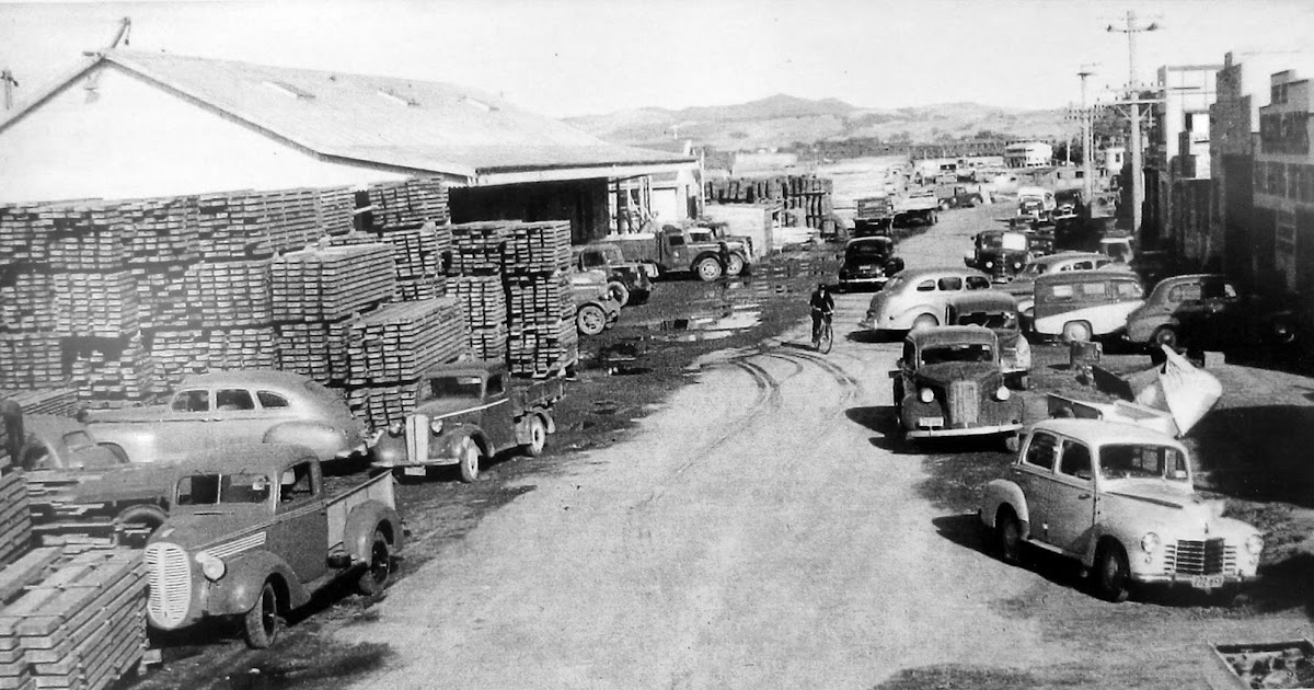 transpress nz vehicles outside the Tauranga Harbour waterfront sheds