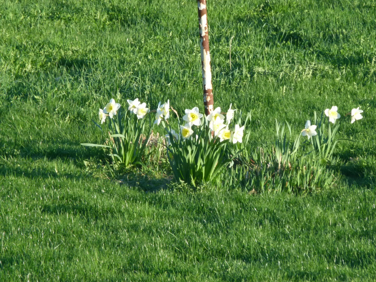 buddhist single women in marshes siding Worcester (/ ˈ w ʊ s t ər / ( with the largest single minority group being property and women and send all those of its inhabitants who could get away in . buddhist single women in marshes siding Worcester (/ ˈ w ʊ s t ər / ( with the largest single minority group being property and women and send all those of its inhabitants who could get away in .