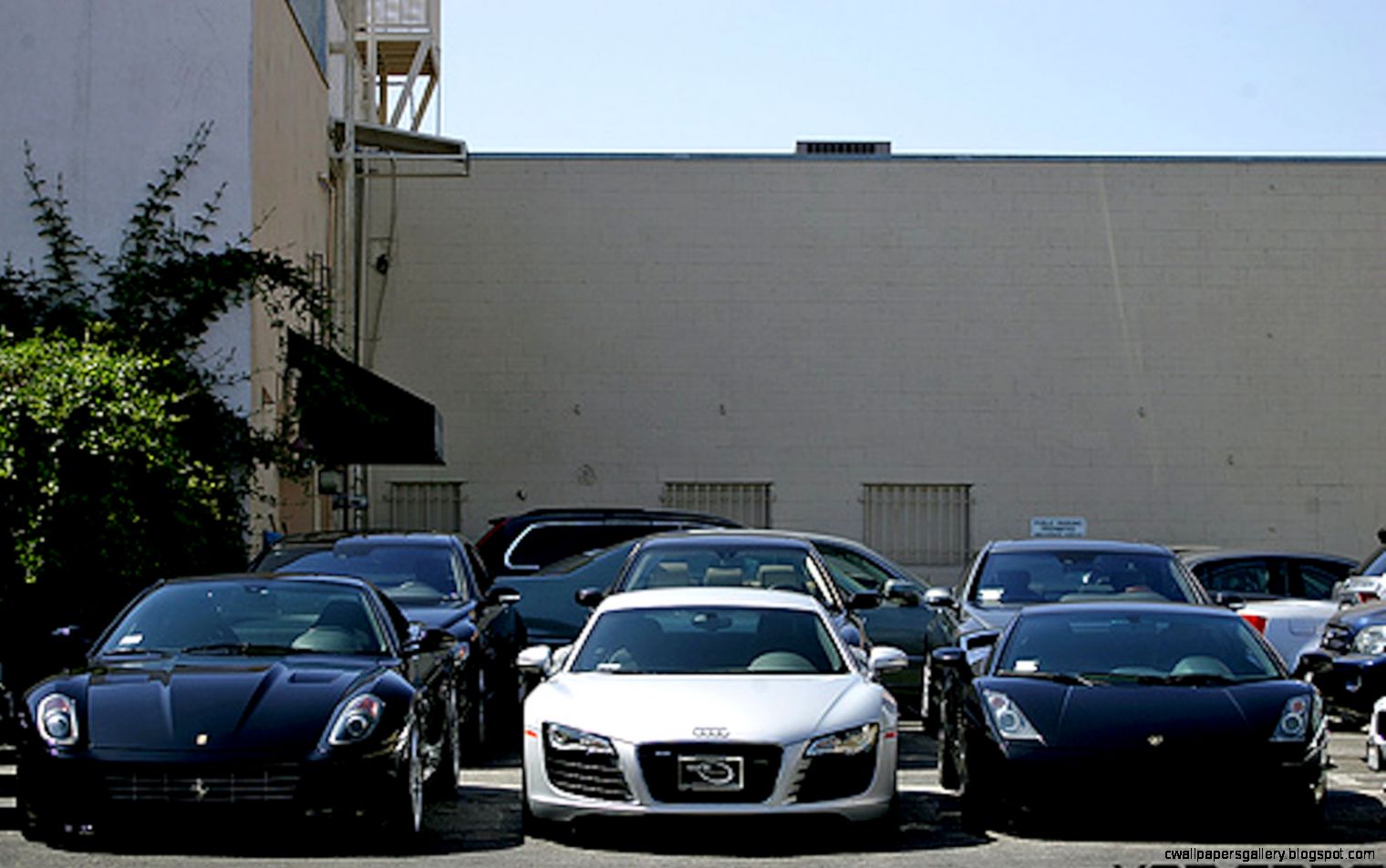 Indian Luxury Car Market has Grown Eight Times Since 2007 GTspirit Indian Luxury Car Market has Grown Eight Times Since 2007 GTspirit