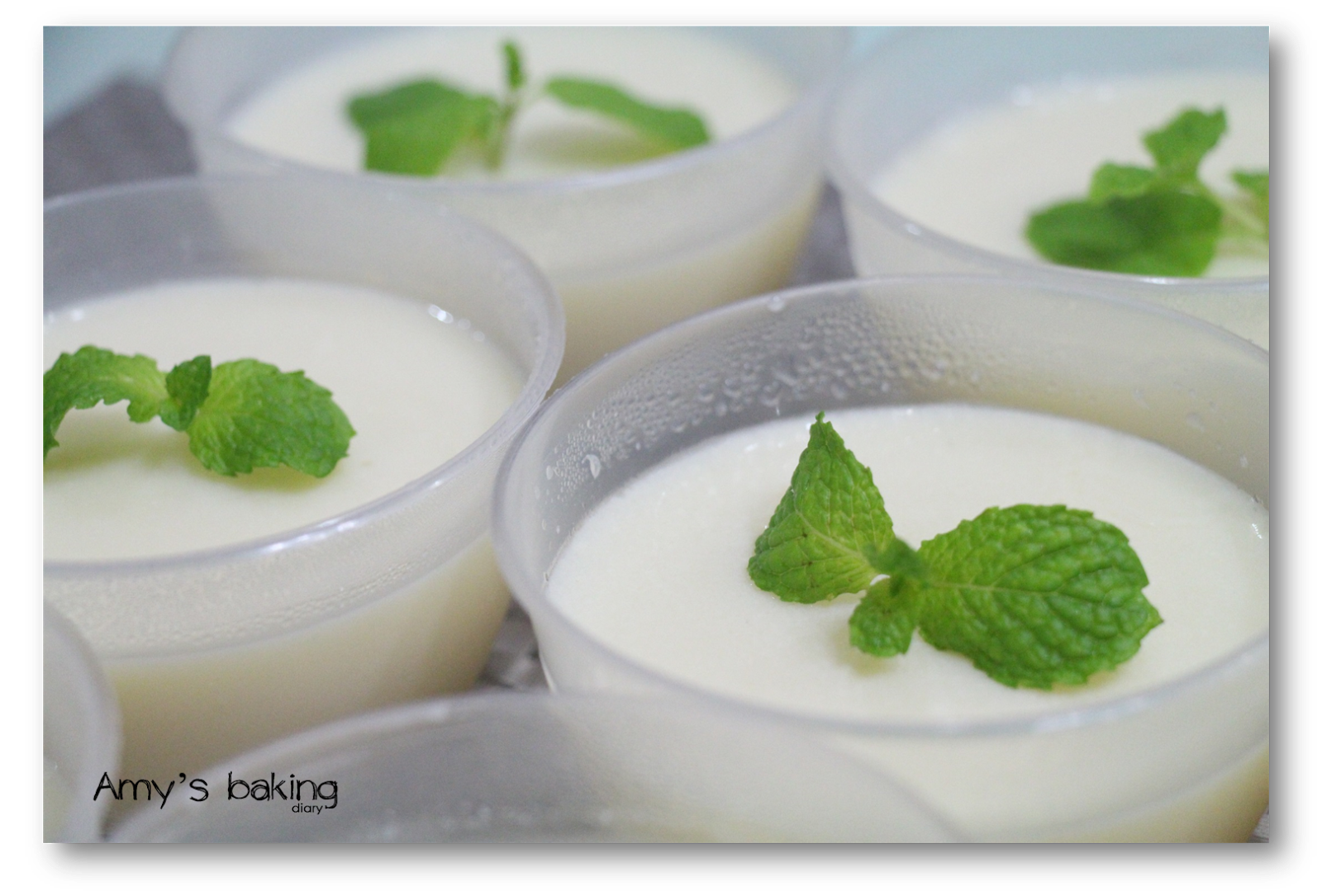 Amy Baking Diary Soy Bean Pudding