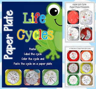 Paper Plate Life Cycles, Frog, Pumpkin, Apple, Sunflower and more