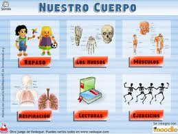 JUEGO DEL CUERPO