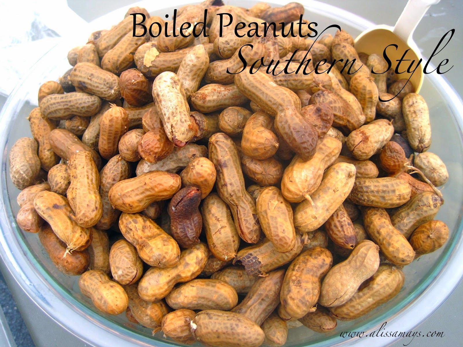 Alissamay's Southern Style Boiled Peanuts