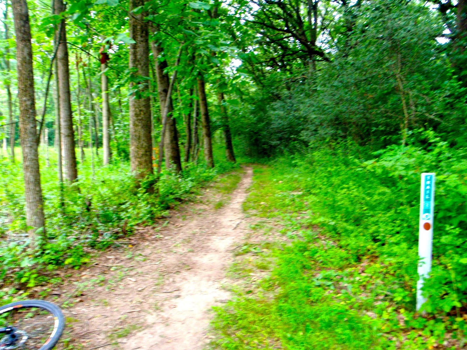 Chuck's Adventures Biking Deer Grove Forest Preserve's Mountain Bike Trail