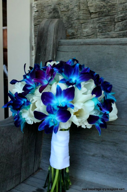 Blue orchids White tulips One Day Pinterest Blue orchids White tulips One Day Pinterest