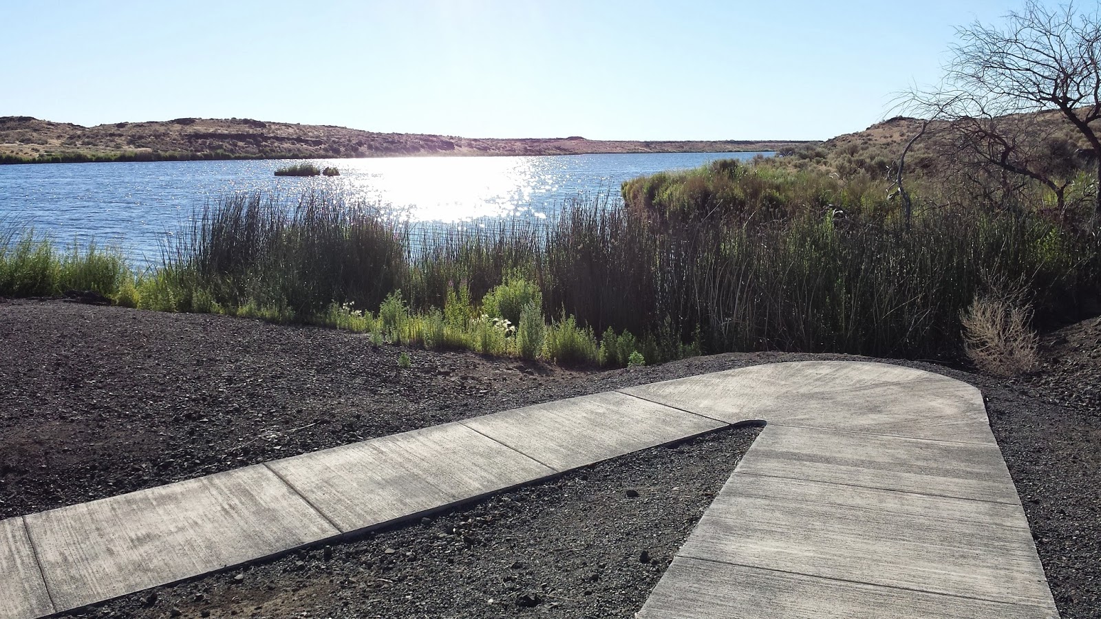 Technically Homeless The Quincy Lakes Wildlife Area Washington