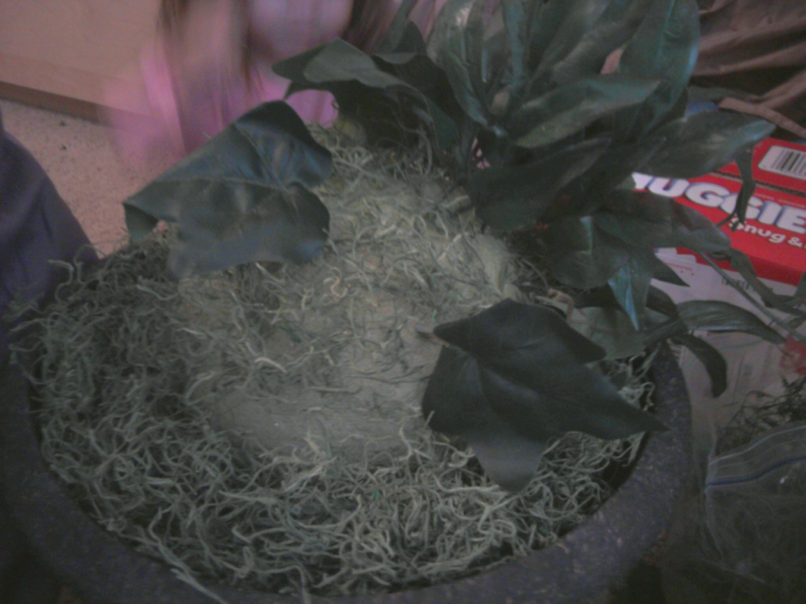 From Thrifty To Nifty DIY Greenery Centerpiece