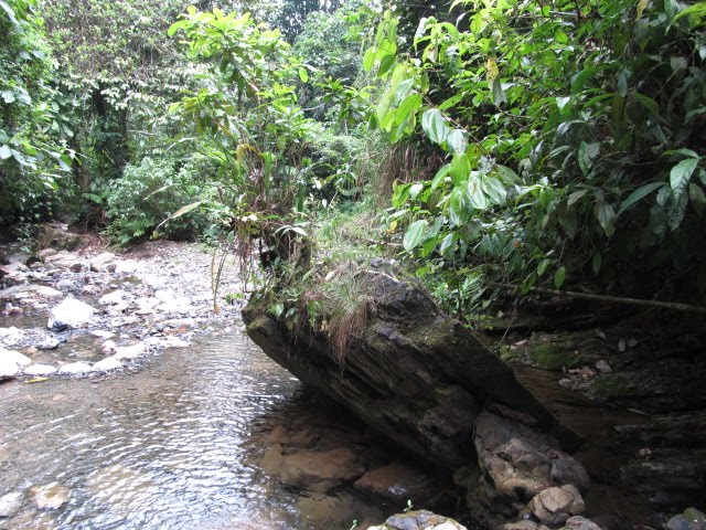 following the creek to the cave