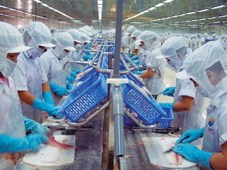 Tuyển nữ đi lao động tại Nhật Bản chế biến thủy sản Tuyển nữ đi lao động tại Nhật Bản chế biến thủy sản