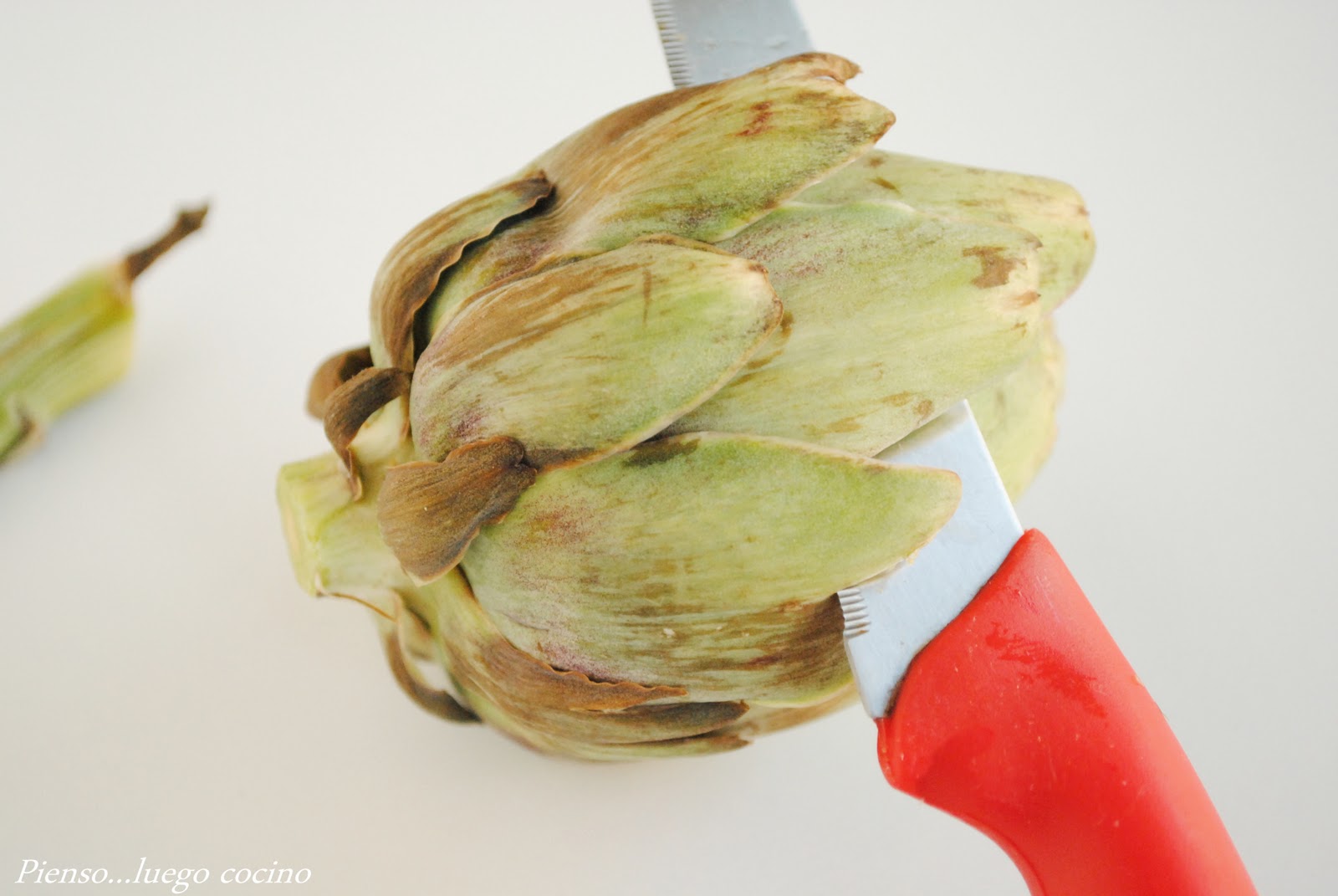 El Alcachofa