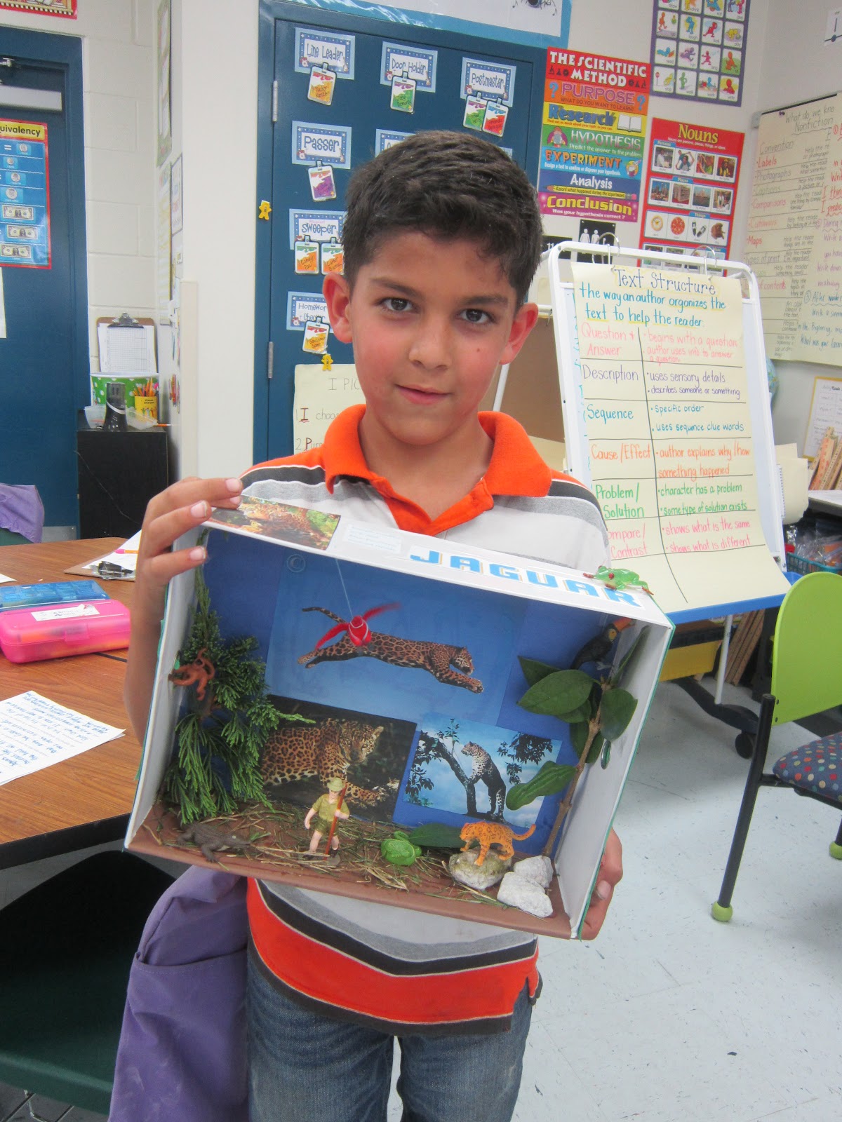 Mrs. Pacciano's Post Look at these Habitat Dioramas