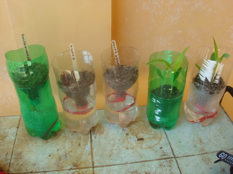 Latitude Adjustment DIY SelfWatering Seed Starter Pots