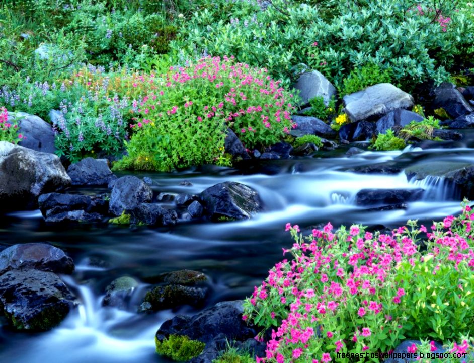 Beautiful Spring Screensavers 6896603 Beautiful Spring Screensavers 6896603