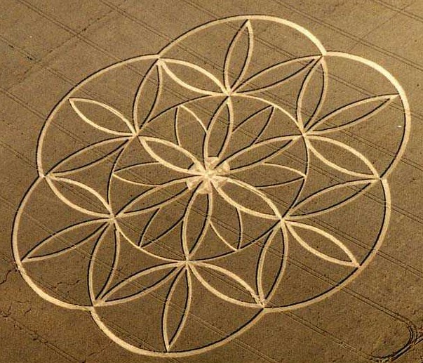 ألغازبعض الإكتشافات الأثرية الغريبة العجيبة ؟ Flower+of+life+crop+circle