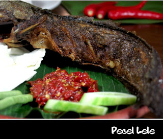 Makanan Dari Indonesia yang enak dan terkenal bro Pecal+lele