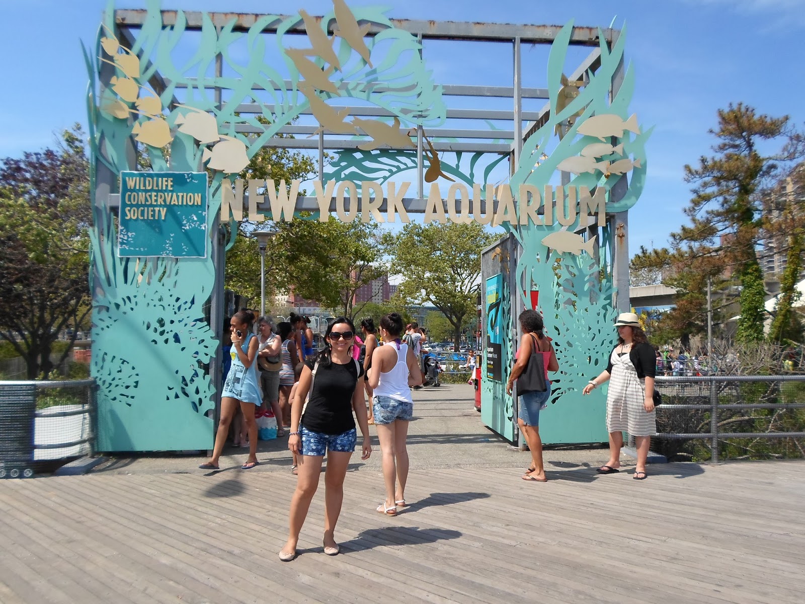 St. John's Queens PDPI New York Aquarium