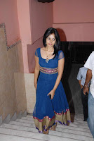 Bindu Madhavi at Pilla Jamindar Movie Platinum