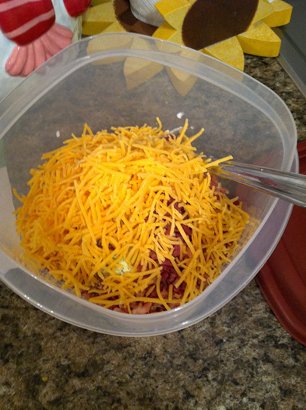 Life As We Know It Chip or Cracker Dip, yummy yummy