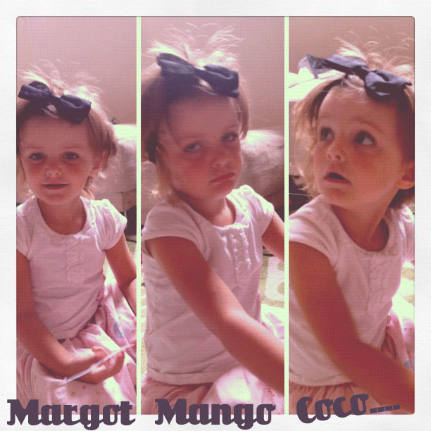 Margot, Mango, coco