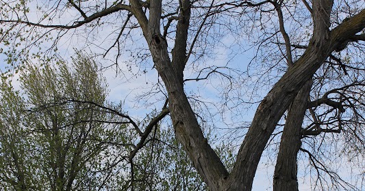 Cornerstone Retreat: Japanese Gardens, Sioux Falls SD