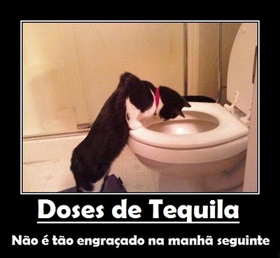 Videos gratis brasil Perhaps shall videos gratis brasil