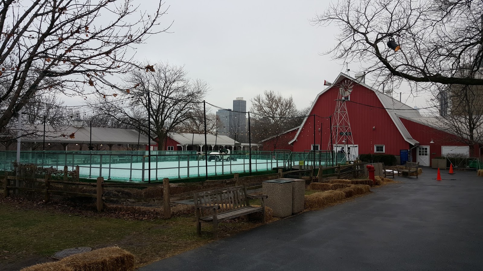 The Chicago Real Estate Local East Lincoln Park condo sales 2015