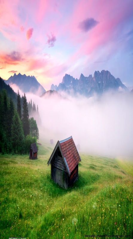 Download alps meadow germany of Nature and landscape HD Download alps meadow germany of Nature and landscape HD