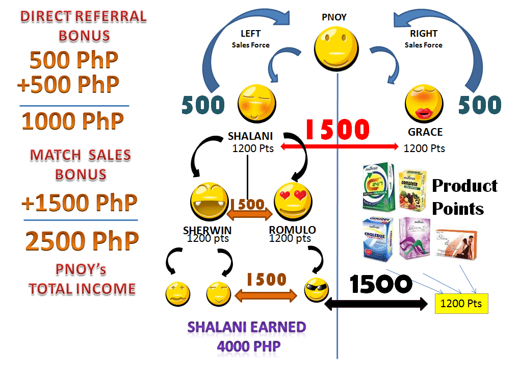 Qnet binary system picture