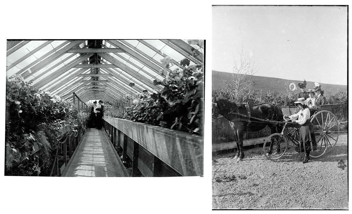 JoCarterworks Scanning Glass Plate Negatives