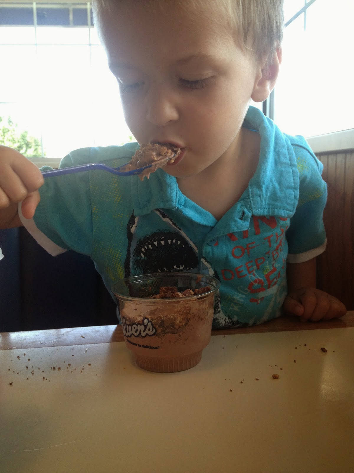 Ice Cream Tour 3 Culver's (Custard)