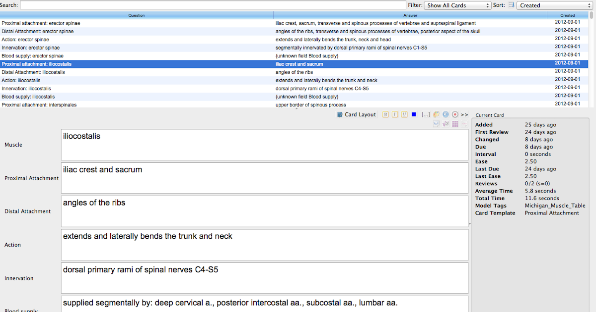 Dr.Willbe My Anatomy Anki Deck