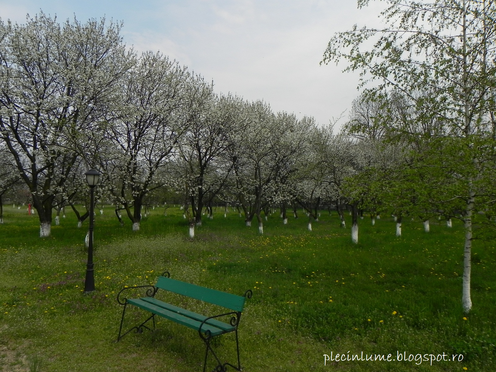 Parcul Golestilor Parcul Golestilor