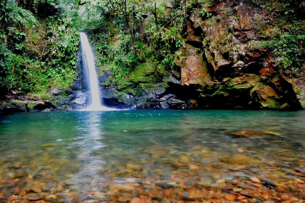 Rppn (Reserva Particular Do Patrimônio Natural) | Wwf Brasil