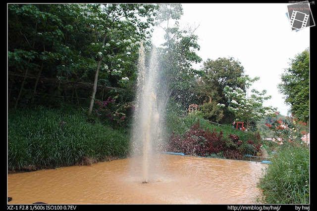 2013-04-22 彰化縣 賞油桐花 景點 德興社區 福田生態園區 員林藤山步道