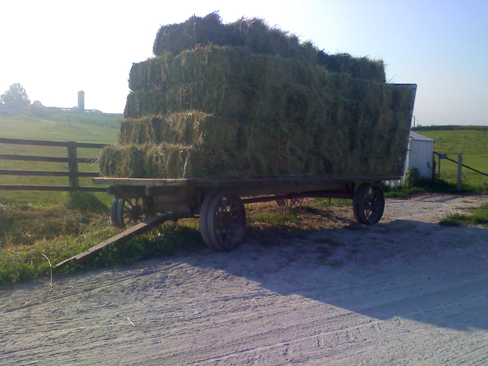 Amish Horses Hay Sale
