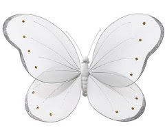 Transparante vlinder