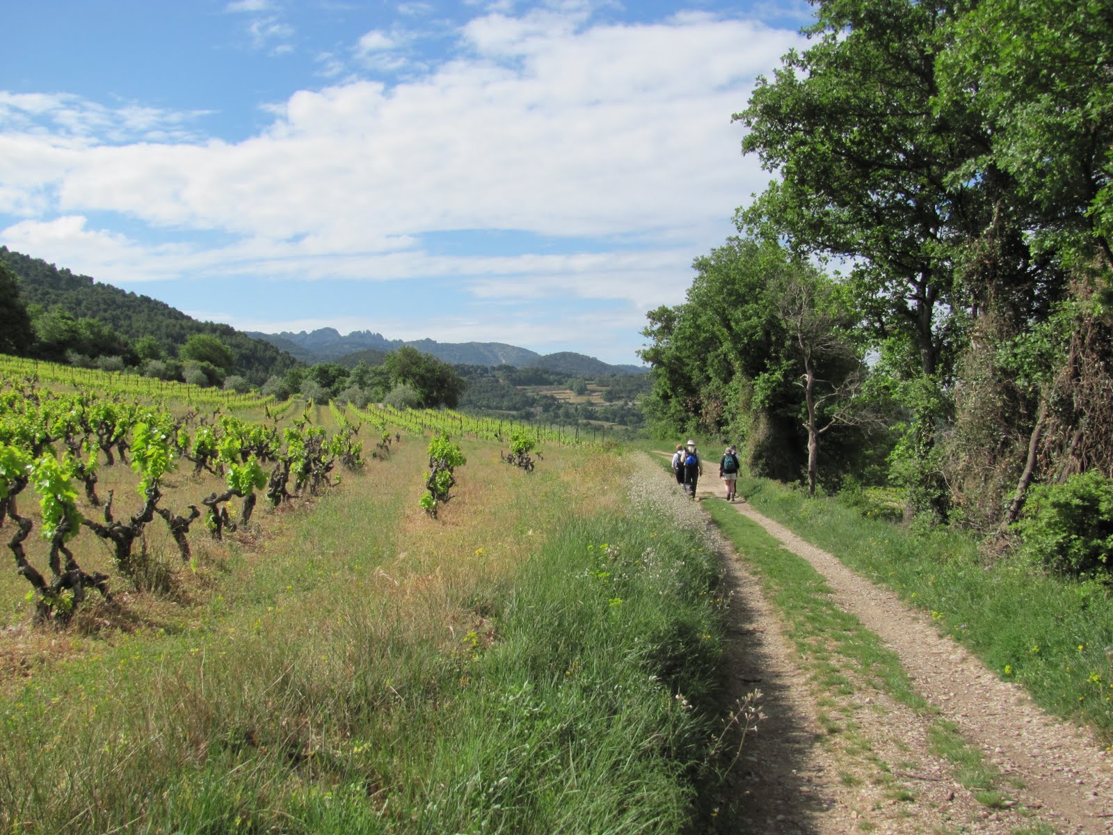 Hiking in Provence Walk Inn's Mont Ventoux hike