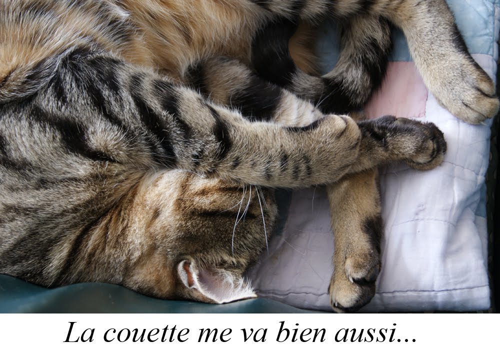 a la rencontre du temps perdu