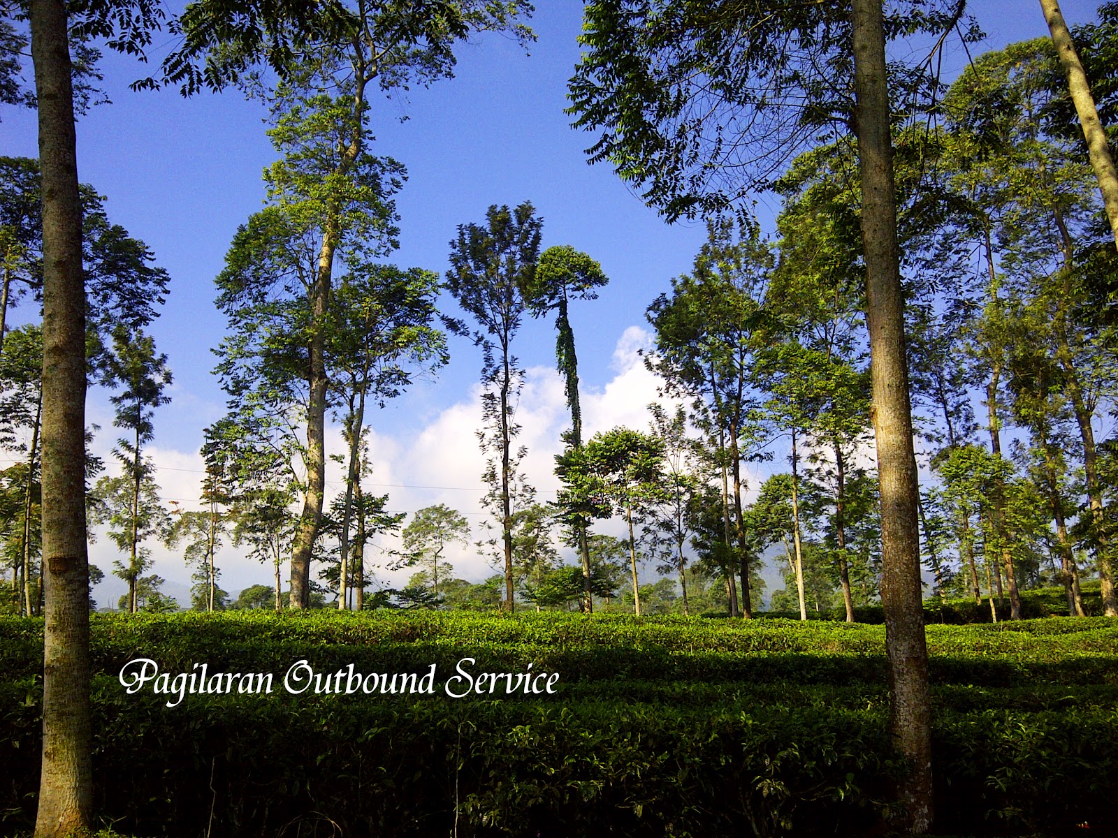 Pagilaran Outbound Service ( om POS ): Larik Simponi ...